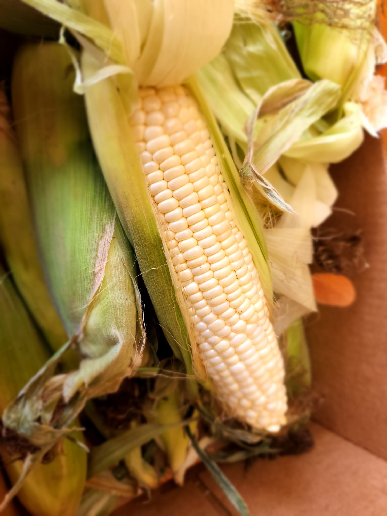 Church Street Produce Store Photo