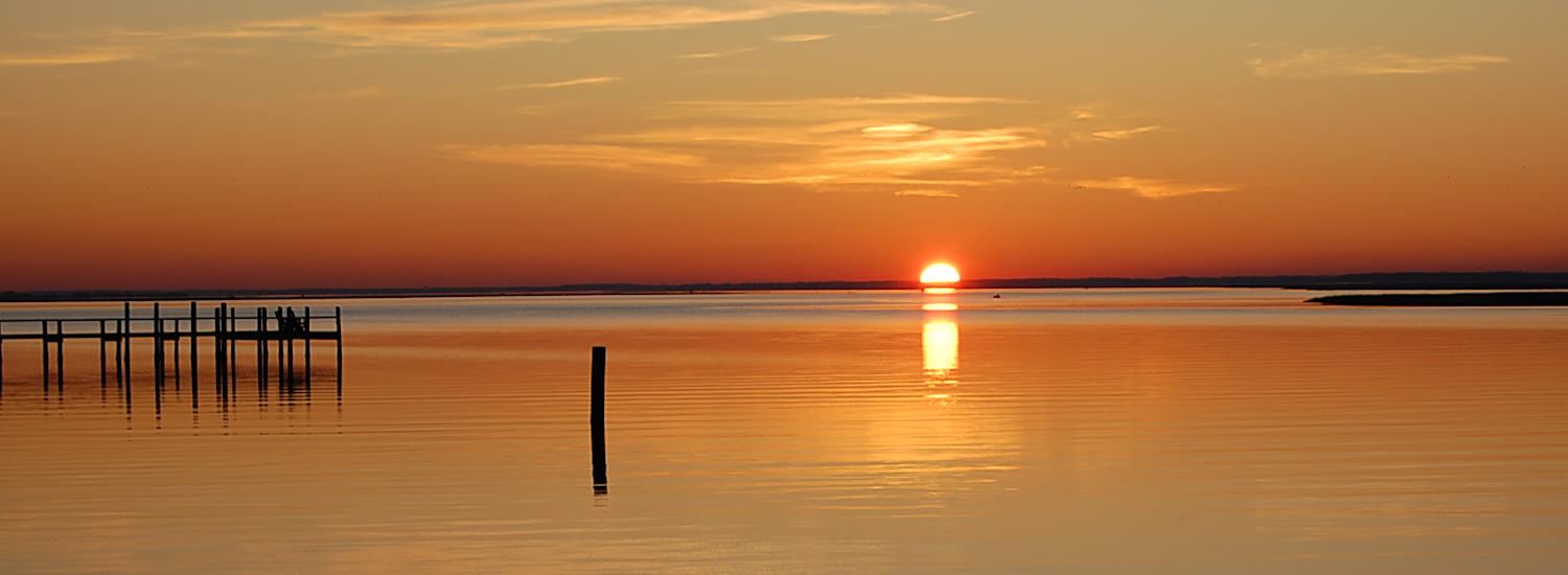 chincoteague page top pic